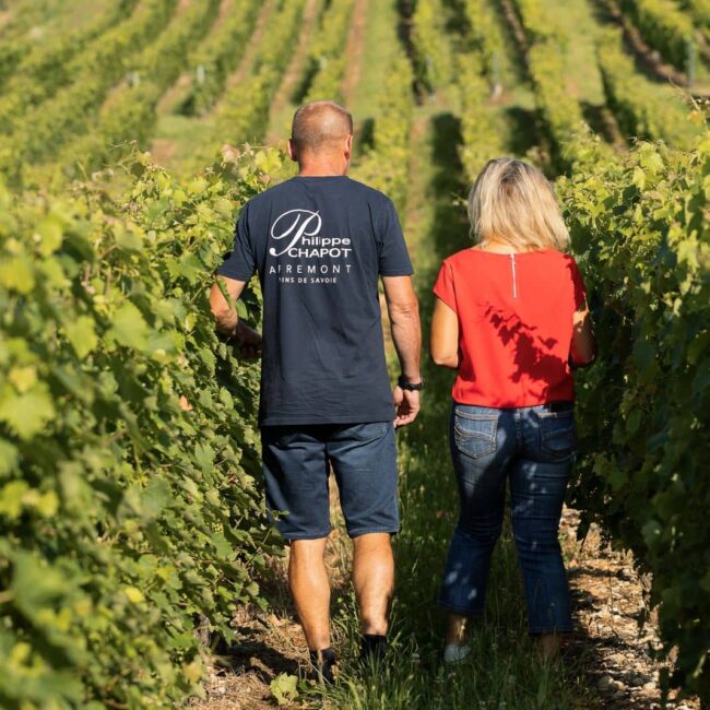 Domaine Philippe Chapot-Vins de Savoie-travail dans les vignes