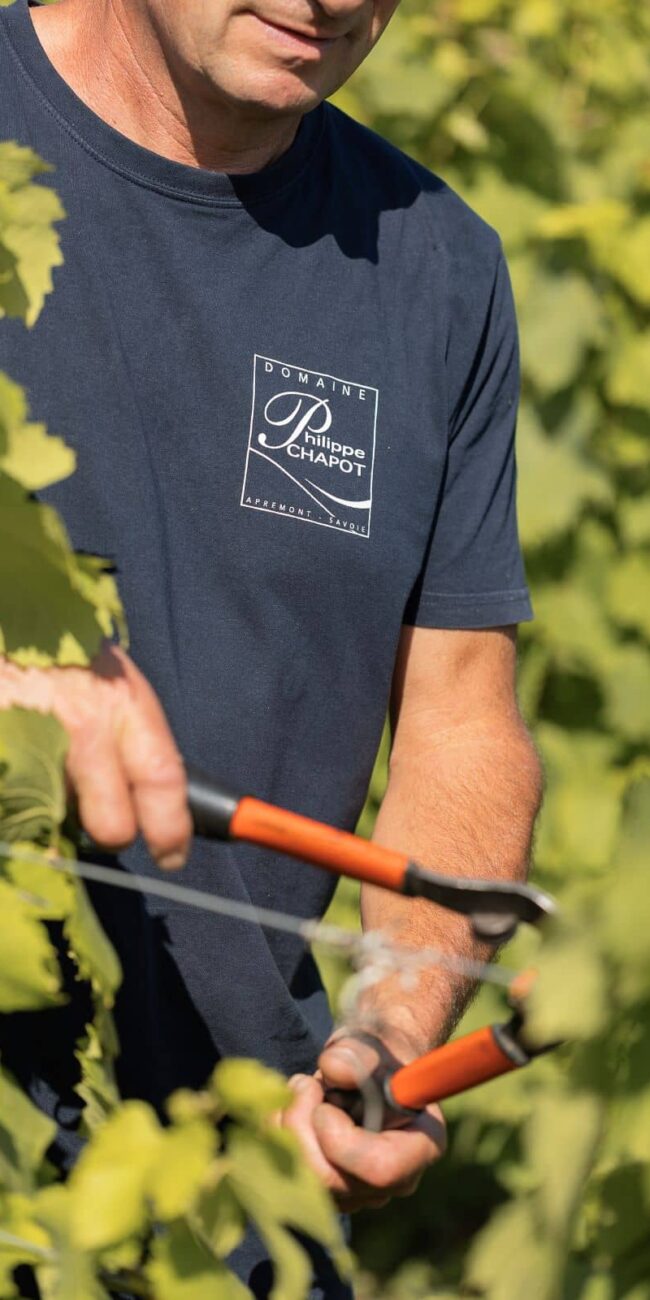 Domaine Philippe Chapot-Vins de Savoie-travail dans les vignes